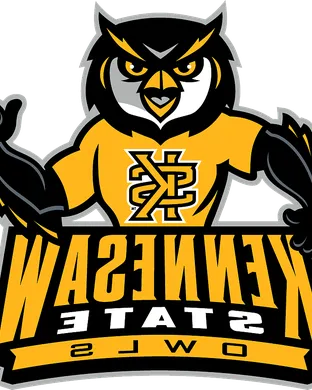 Kennesaw State Owls Chattanooga