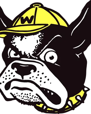 Wofford Terriers Football Chattanooga